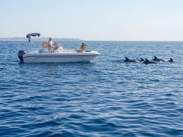 Dolphin watching and snorkeling in Alghero with a rental boat